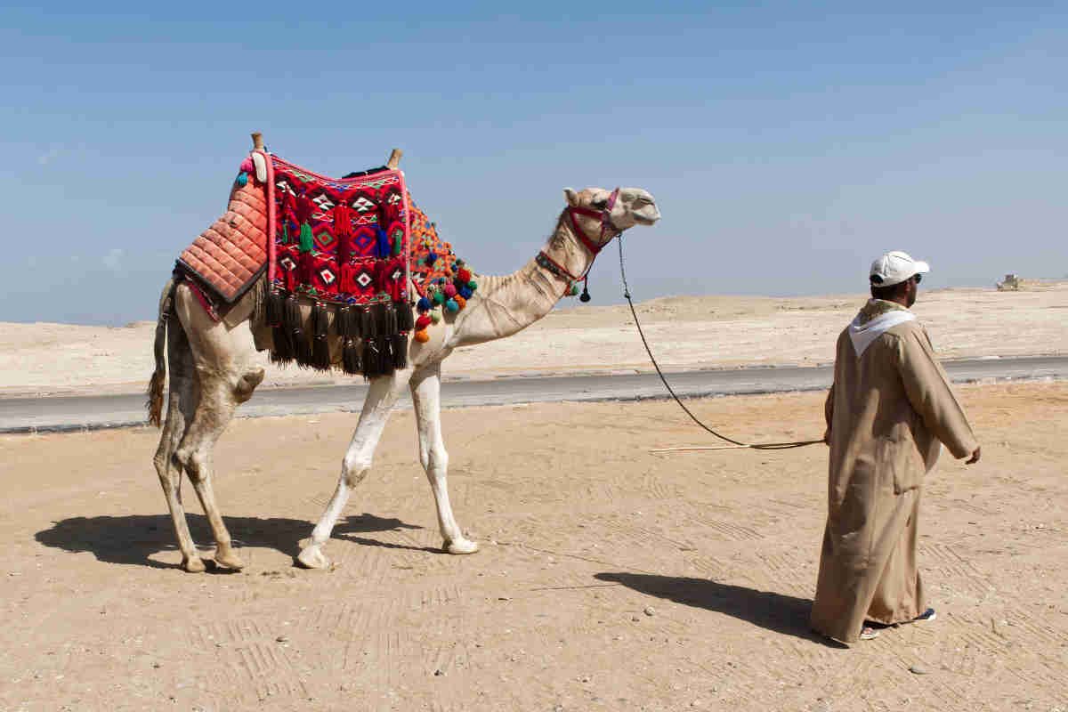 Beduínos no Egipto — onde estão e como conhecer a sua cultura