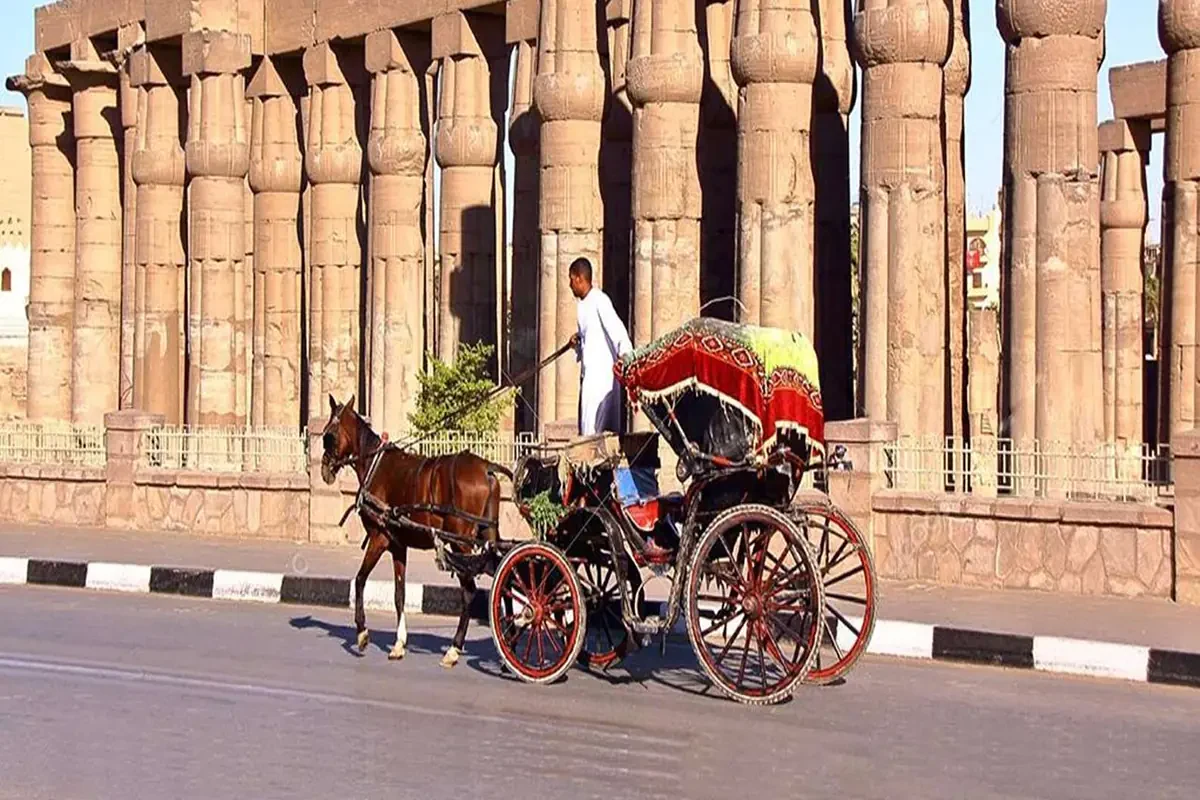 Excursão pela Cidade de Luxor de Charrete