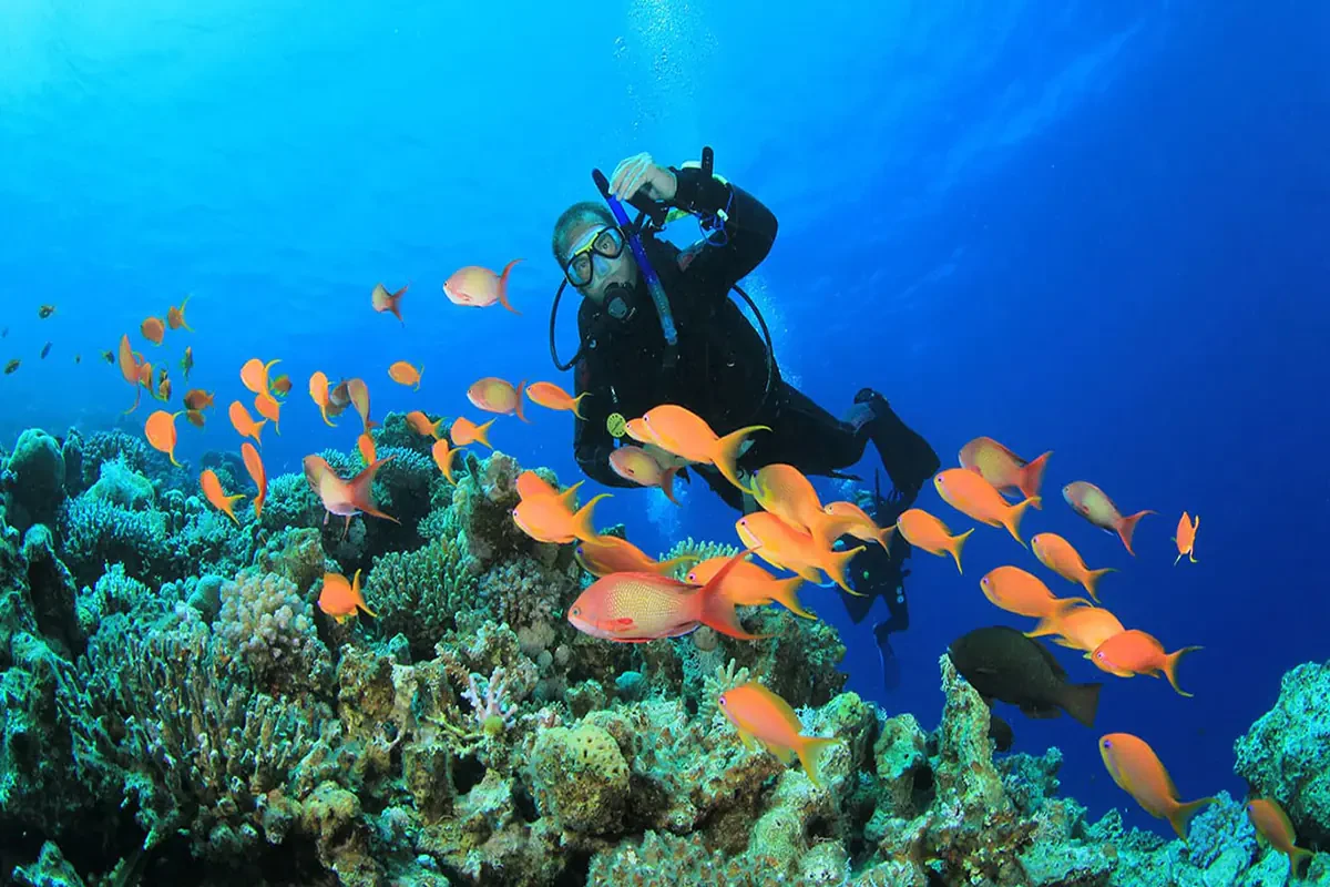 Mergulho com Autonomia em Sharm El Sheikh