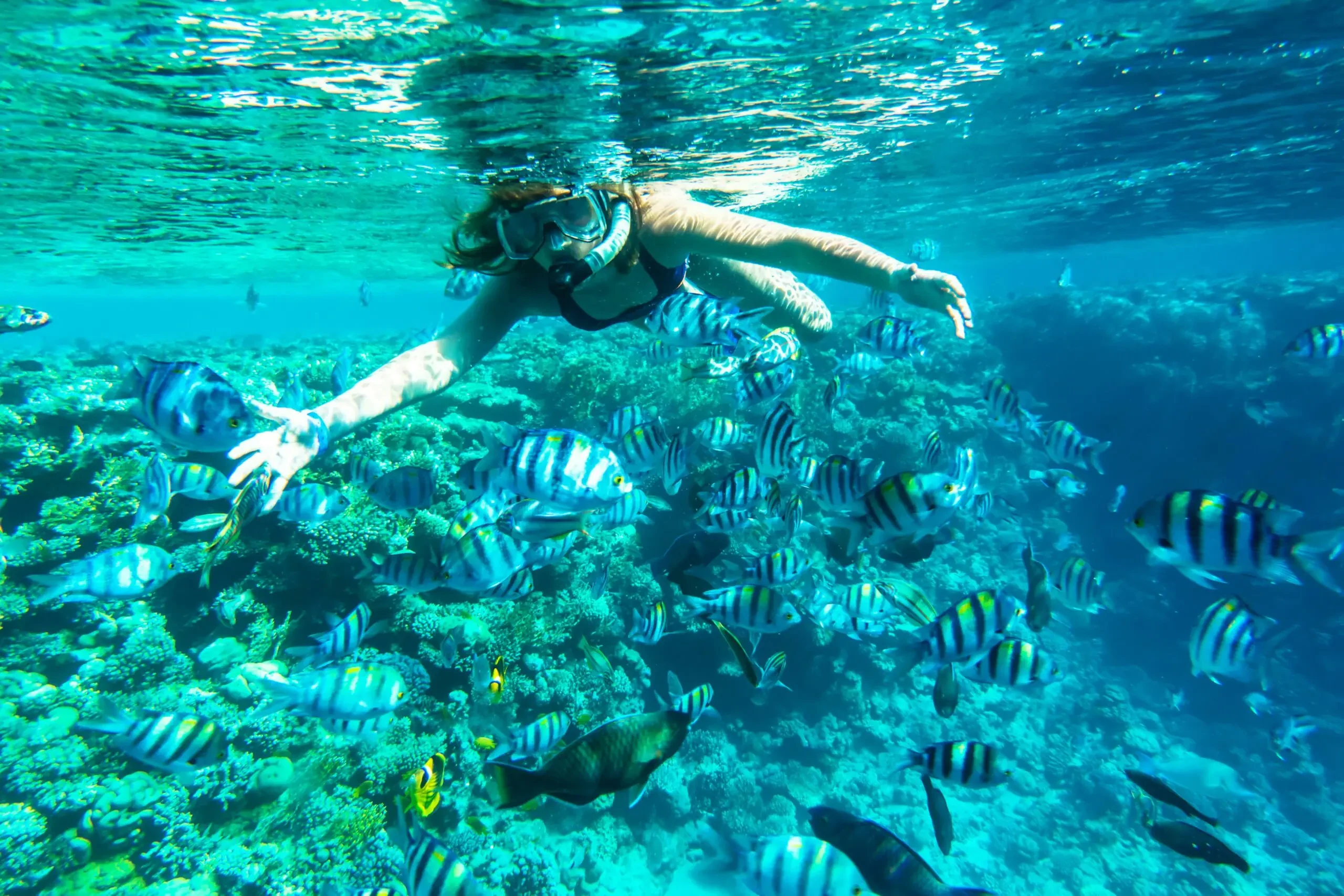 Snorkel na Ilha Mahmya