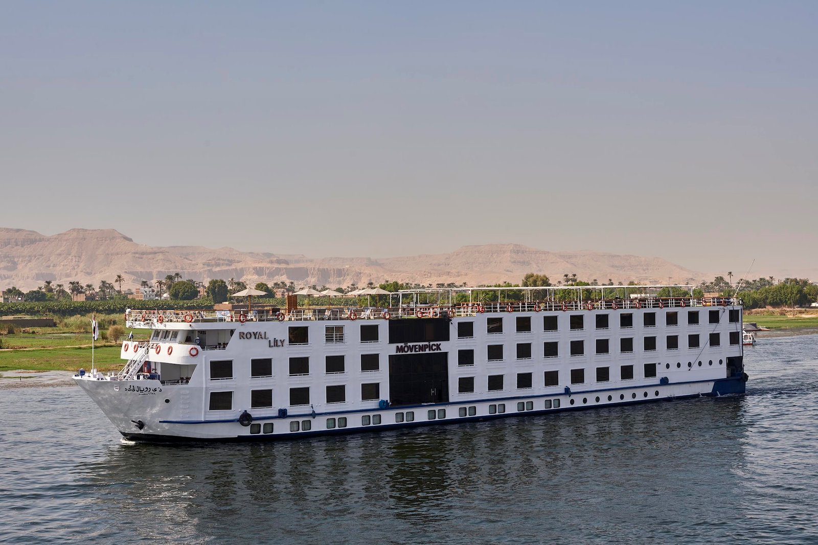 Cruzeiro MS Royal Lily - Nilo em Luxo
