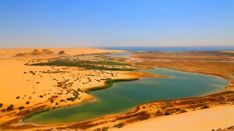 Excursão pelo Deserto do Egito