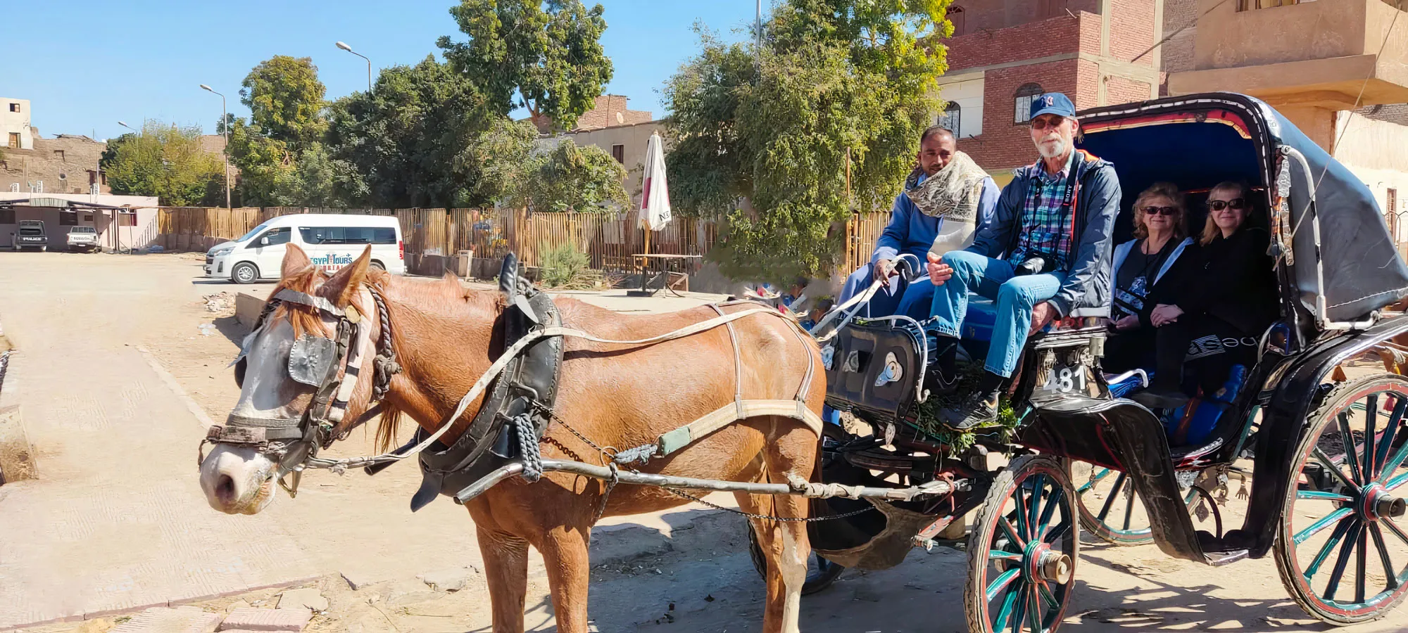 Excursão pela Cidade de Assuã de Charrete