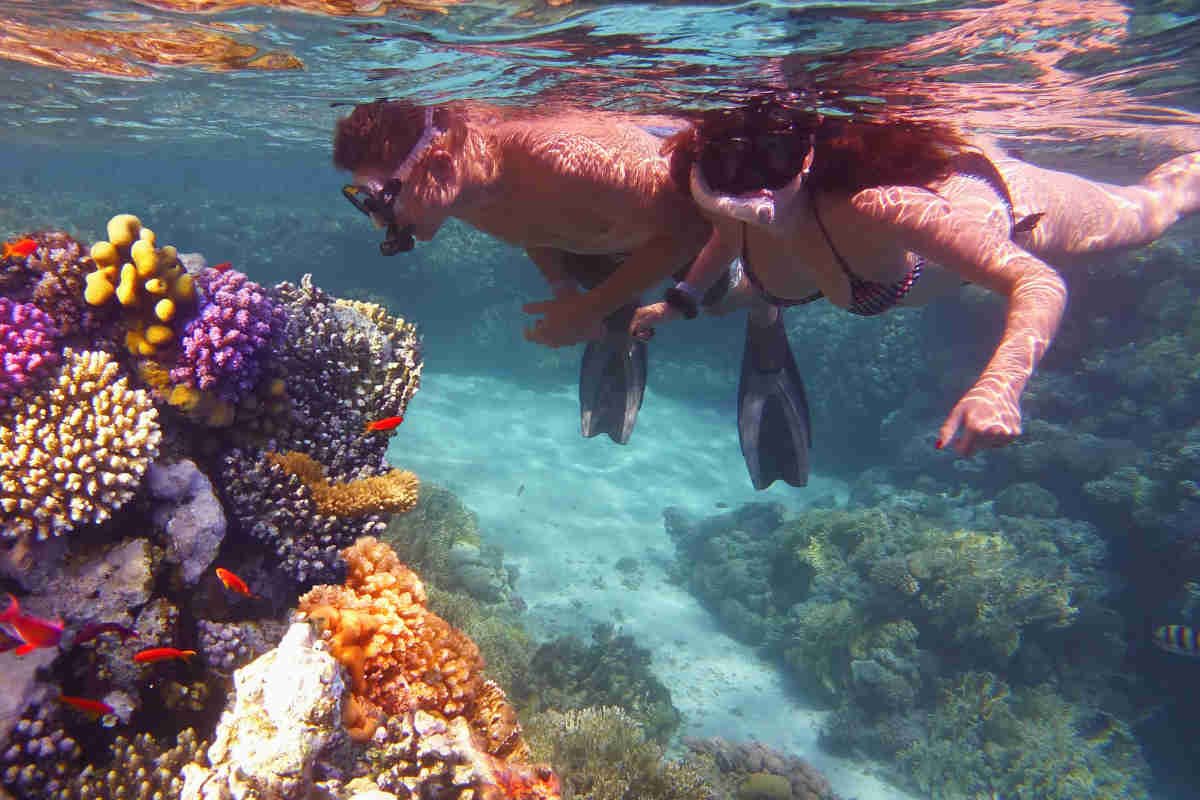 Mergulhar e fazer snorkelling no Mar Vermelho do Egipto — Guia