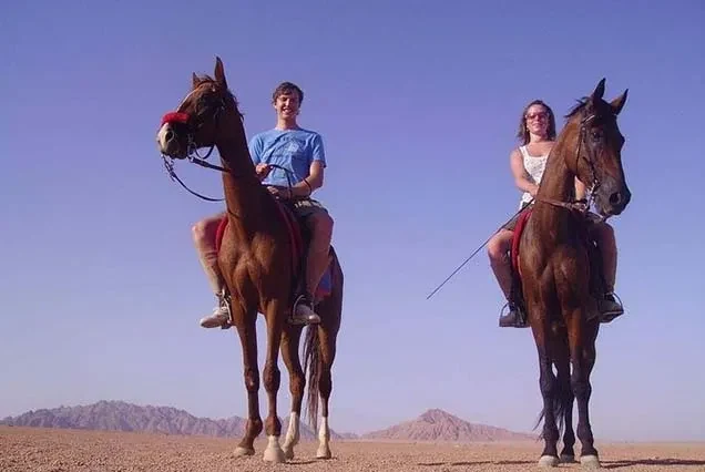 Excursão a Cavalo em Dahab