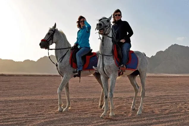 Excursão a Cavalo em Dahab