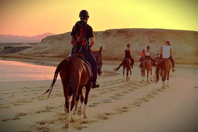 Excursão a Cavalo em Dahab