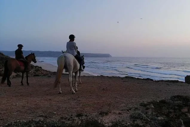 Excursão a Cavalo em Dahab