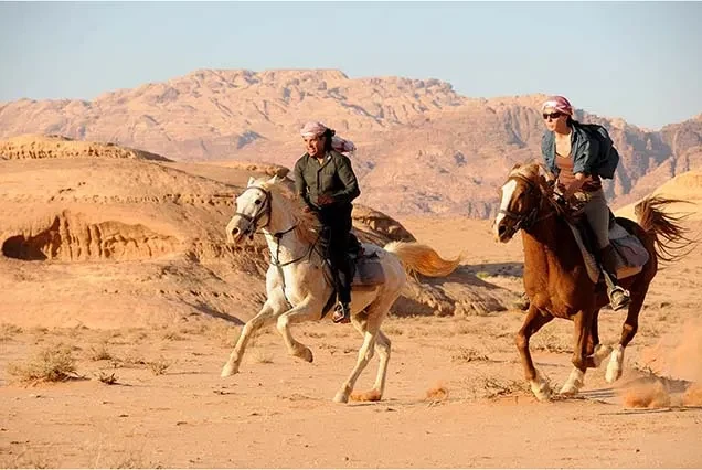 Excursão a Cavalo em Dahab