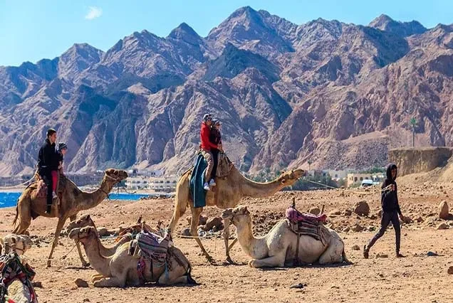 Excursão a Cavalo em Dahab