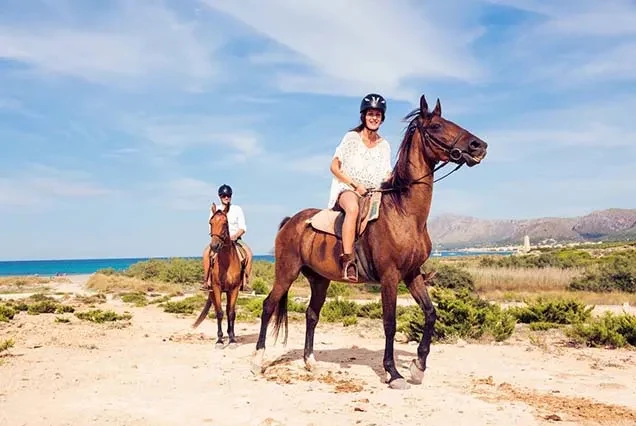 Excursão a Cavalo em Dahab