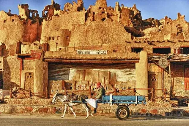 Excursão aos Oásis do Egito: Safari Privado de 11 Dias no Deserto