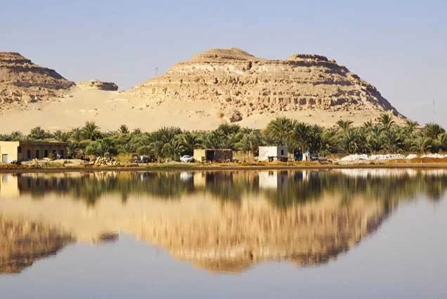 Excursão aos Oásis do Egito: Safari Privado de 11 Dias no Deserto