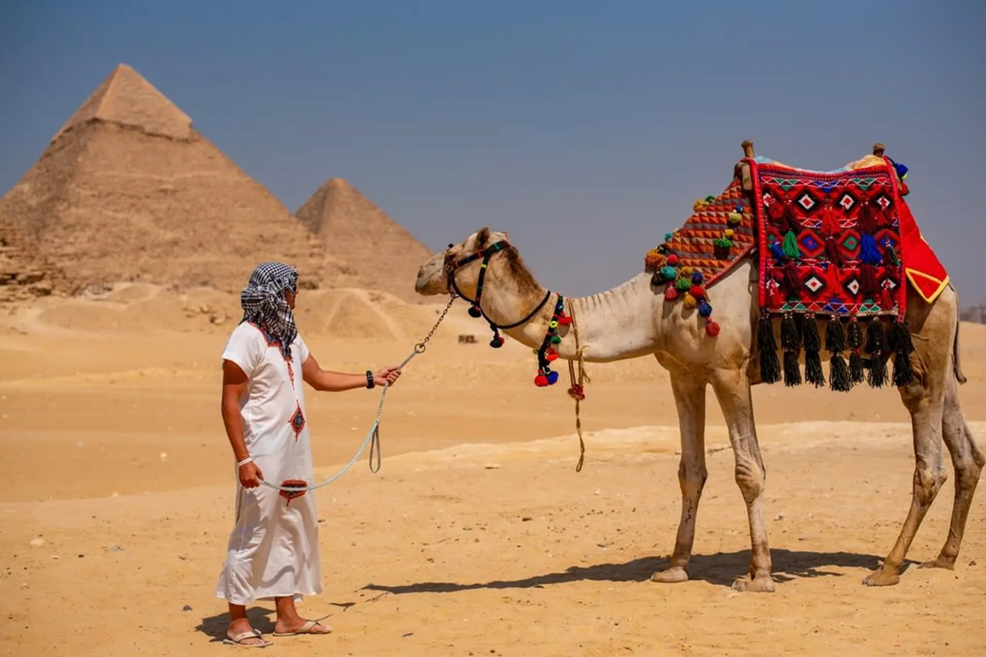 Excursão de Lua de Mel no Cairo e Hurghada