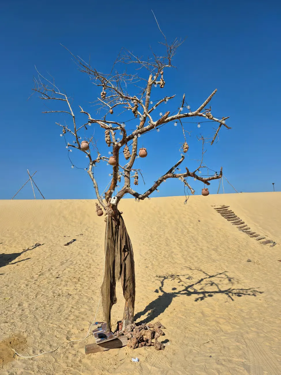 Excursão de Um Dia a El Fayoum a partir do Cairo