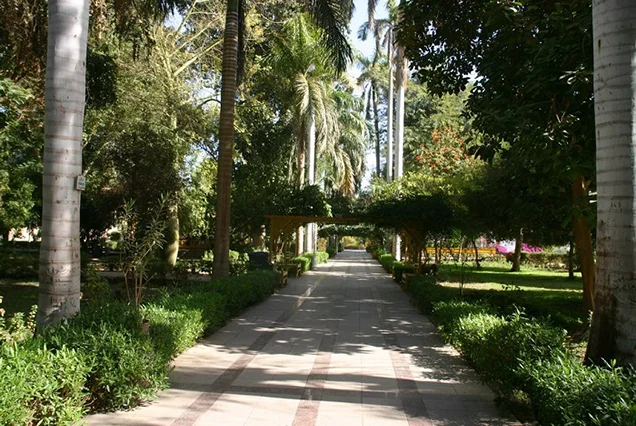 Excursão de Um Dia aos Jardins Botânicos e Museu Botânico