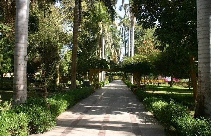 Excursão de Um Dia aos Jardins Botânicos e Museu Botânico
