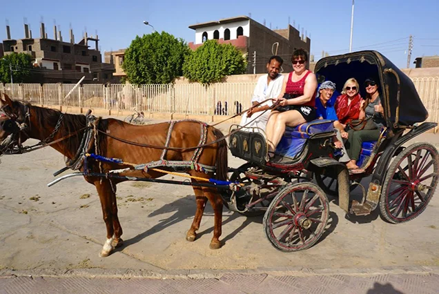 Excursão pela Cidade de Assuã de Charrete