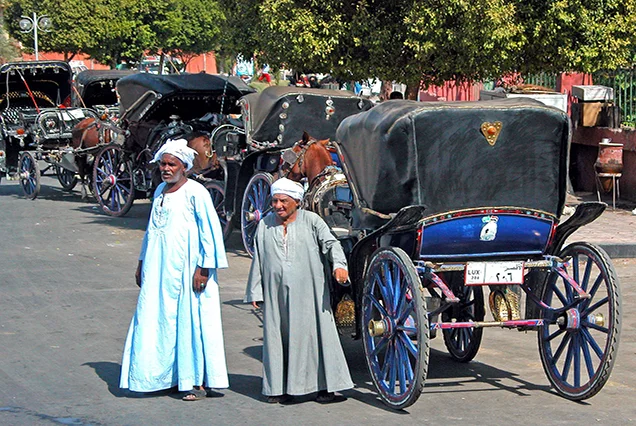 Excursão pela Cidade de Assuã de Charrete