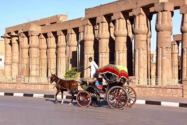 Excursão pela Cidade de Luxor de Charrete