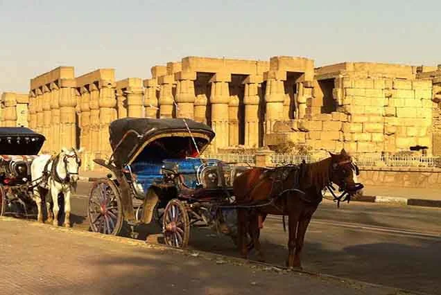 Excursão pela Cidade de Luxor de Charrete