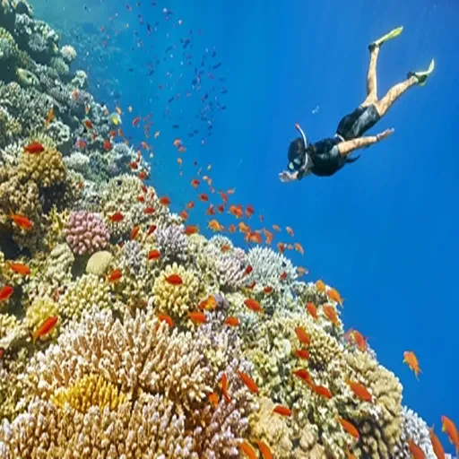 Férias de Ano Novo no Egito Pirâmides, Cairo e Sharm El-Sheikh