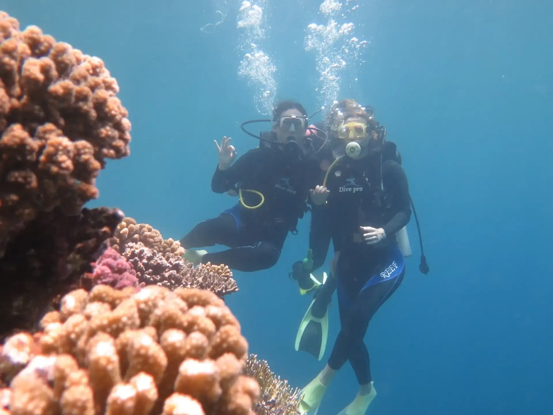 Mergulho com Autonomia em Marsa Alam
