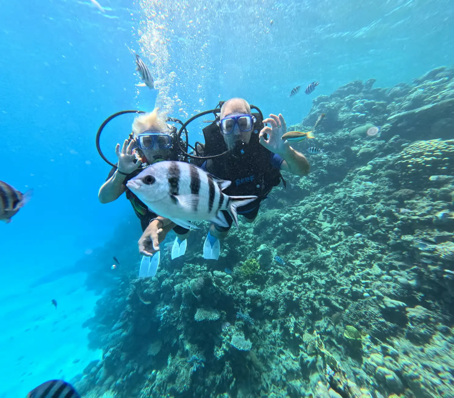 Mergulho com Autonomia em Sharm El Sheikh