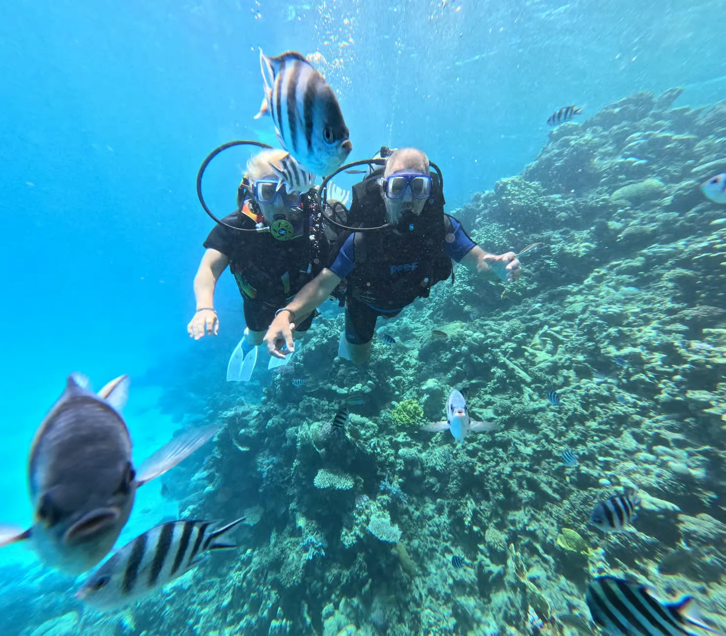 Mergulho com Autonomia em Sharm El Sheikh