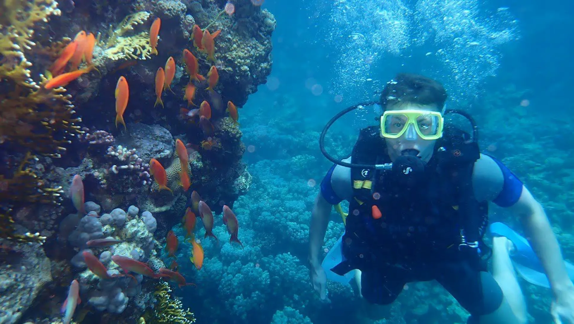 Mergulho com Autonomia em Sharm El Sheikh