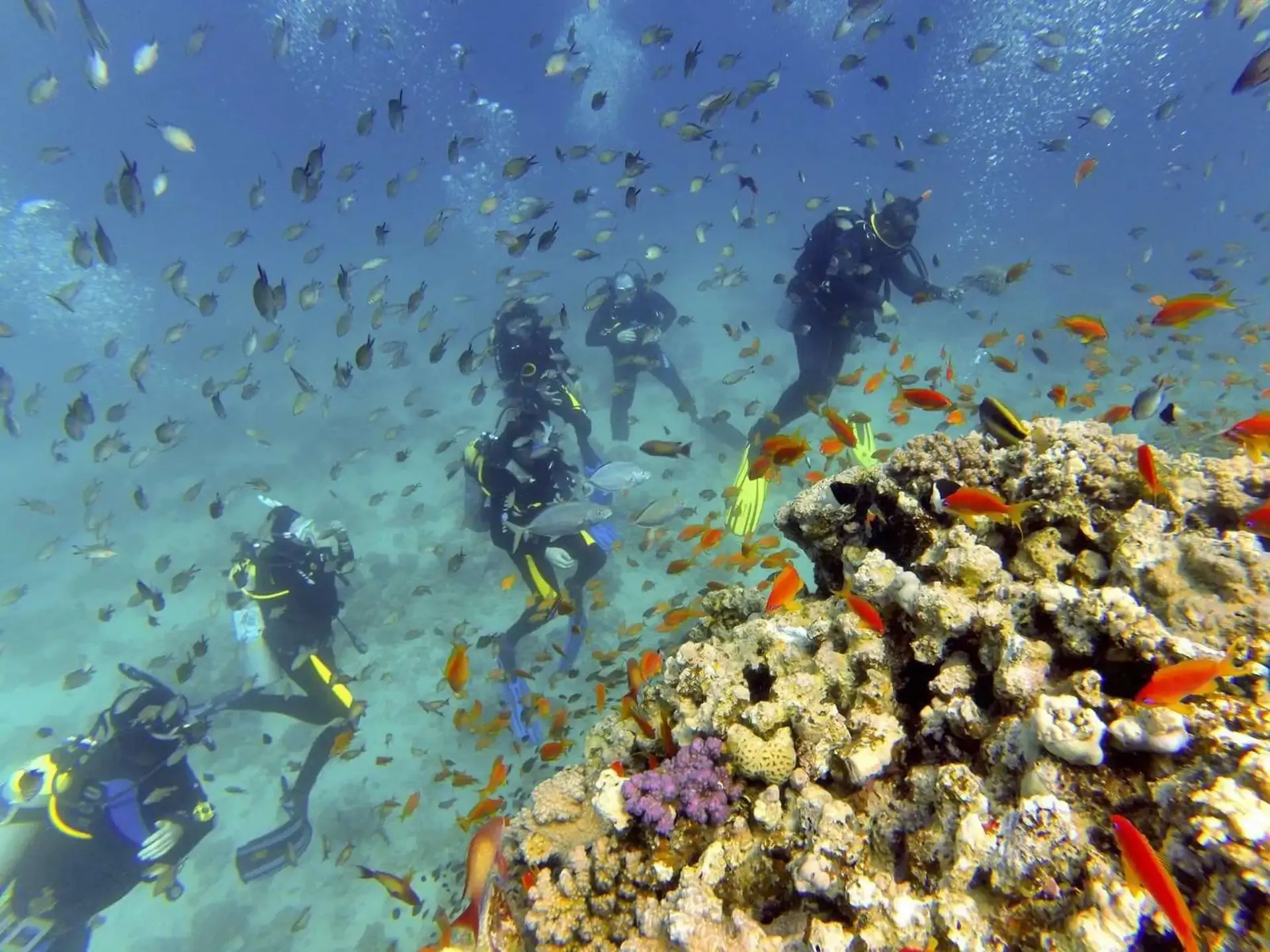 Mergulho com Autonomia em Sharm El Sheikh