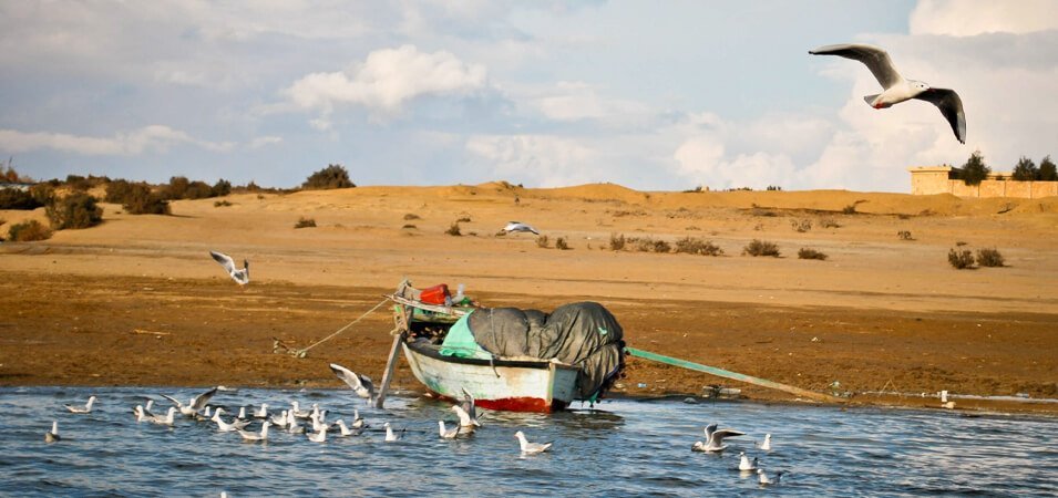 Pacote De Excursão No Cairo E Fayoum
