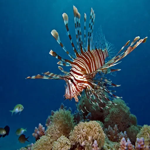 Luxo e Sofisticação no Pacote de Férias em Hurghada