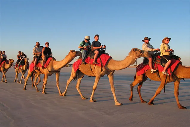 Passeio de Camelo em Luxor