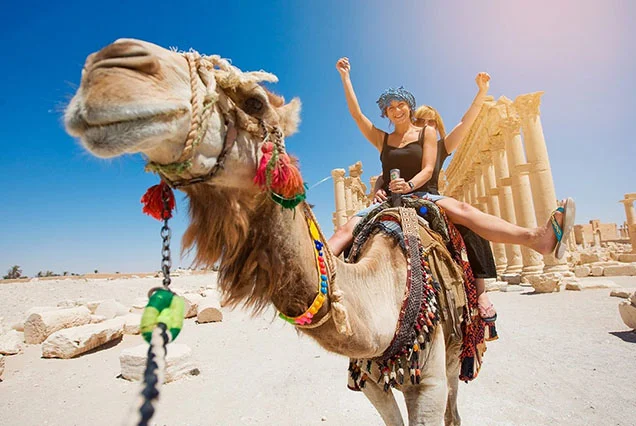 Passeio de Camelo em Luxor