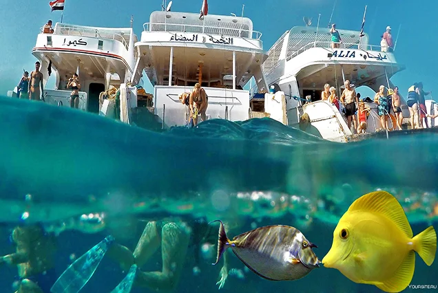 Snorkel na Ilha Giftun