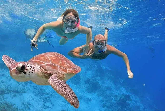 Snorkel na Ilha Giftun