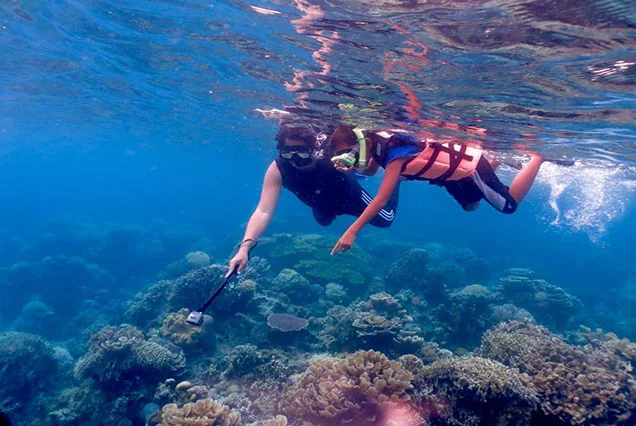 Snorkel na Ilha Giftun