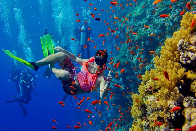 Snorkel na Ilha Giftun