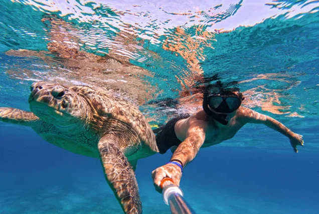 Snorkel na Ilha Mahmya