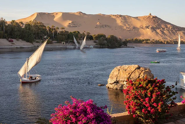 Viagem a Abu Simbel a partir de Assuã de Ônibus