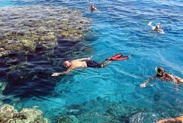 Excursão de snorkeling à Ilha de Tiran a partir de Sharm El Sheikh