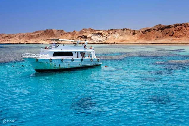 Excursão de snorkeling à Ilha de Tiran a partir de Sharm El Sheikh
