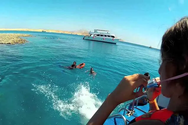 Excursão de snorkeling à Ilha de Tiran a partir de Sharm El Sheikh