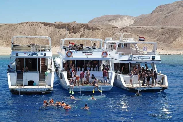 Excursão de snorkeling à Ilha de Tiran a partir de Sharm El Sheikh