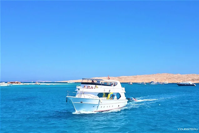 Viagem de Snorkel e Excursão a partir do Porto de Safaga