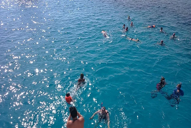Viagem de Snorkel e Excursão a partir do Porto de Safaga